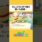 一か月ぶりにあつ森をやると…【あつまれどうぶつの森】