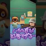 【#あつ森 】蜂の巣は安いです、覚えておきましょう！【#ゲーム実況 #おすすめ #あつまれどうぶつの森 】
