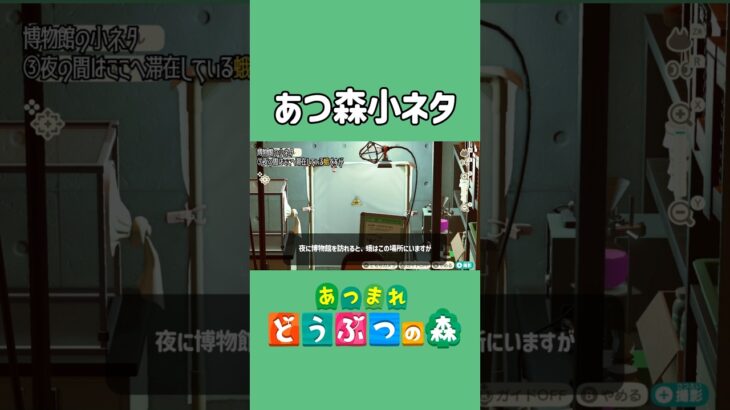 蛾は夜になると【あつ森】