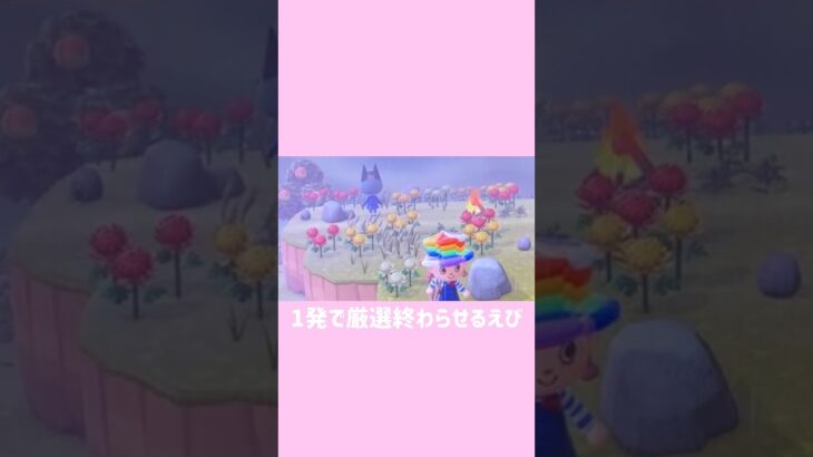 ジャックはおれのもんだ😘 #あつ森 #あつまれどうぶつの森 #どうぶつの森