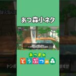 トンボや蝶は夜になると【あつ森】
