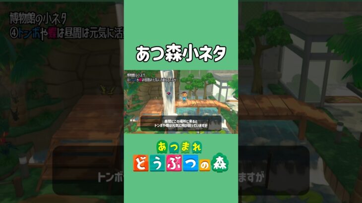 トンボや蝶は夜になると【あつ森】