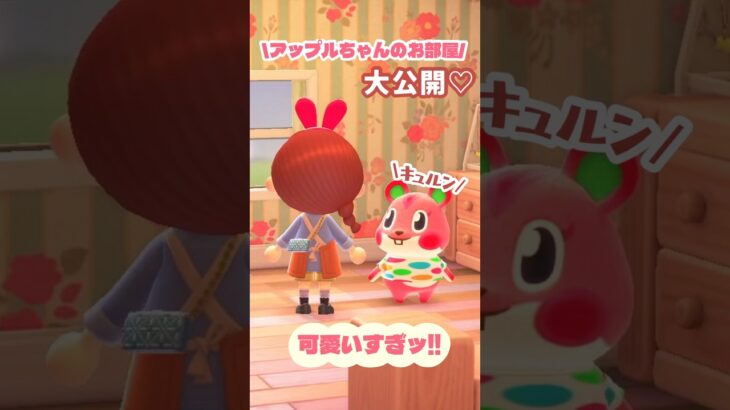 アップルちゃんのお部屋大公開🍎♡【あつ森】