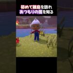 はじめての離島で闇を知る【あつ森】