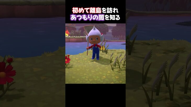 はじめての離島で闇を知る【あつ森】