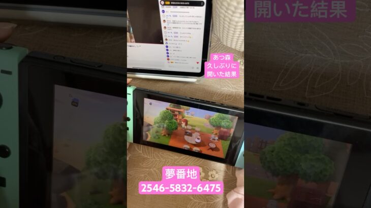 あつ森久しぶりのハニーメモリー島夢番地公開