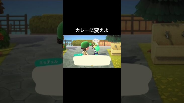 一旦べつのルーに…[あつ森]