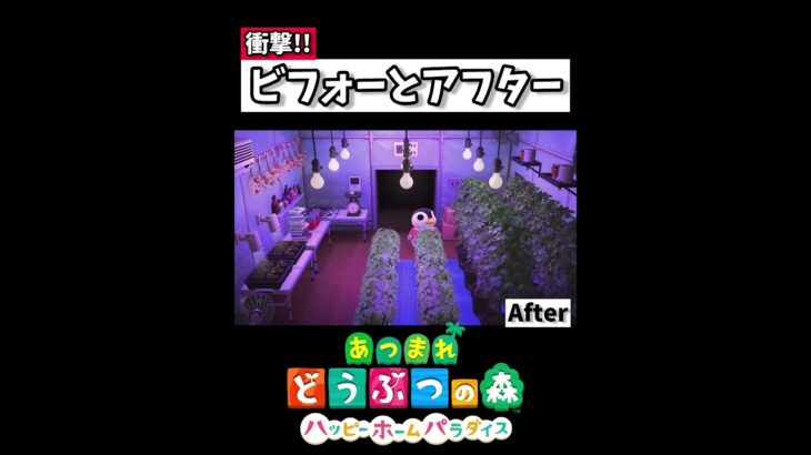 その時オーロラに電流走るッ!!【あつ森】