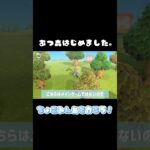 あつ森はじめました🌳#あつ森 #ゲーム女子 #女性実況者 #島づくり #あつ森初心者