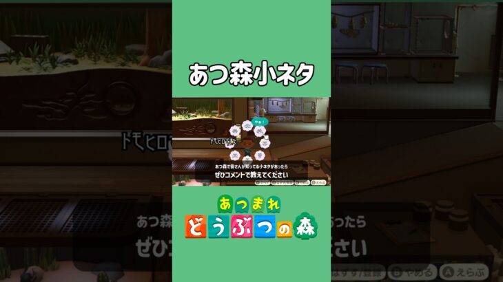 カブトムシをつかまえると【あつ森】