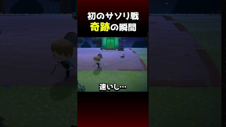 【あつ森】初めてのサソリ戦で奇跡を起こす西田　初見リアクションまとめ