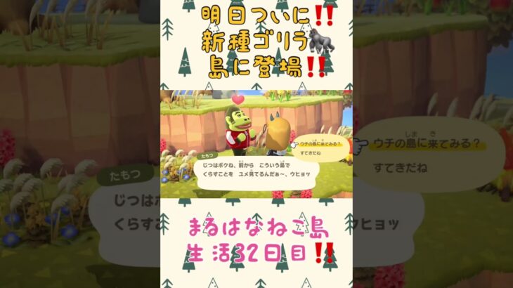 たもつ入りまーす‼️ #あつ森 #あつまれどうぶつの森