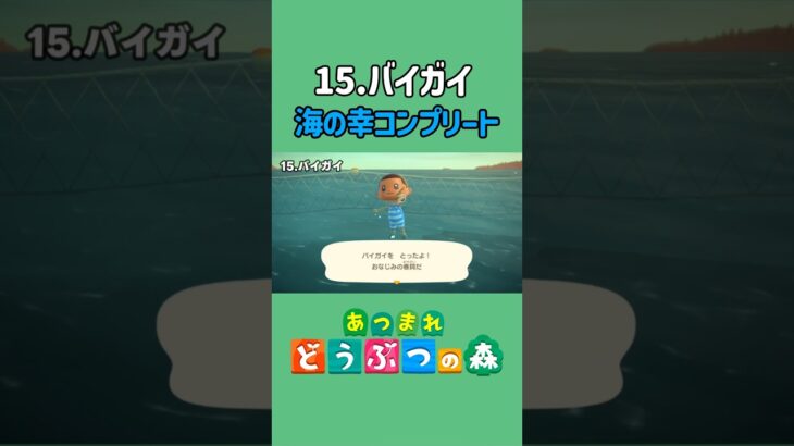 バイガイ、ゲットだぜ！【あつ森】