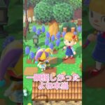 全国の鈴木さんに朗報【あつ森】