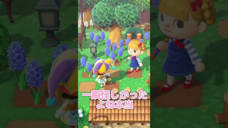 全国の鈴木さんに朗報【あつ森】