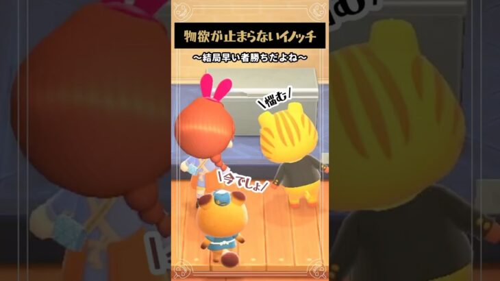 物欲止まらないイノッチ🛒➿【あつ森】