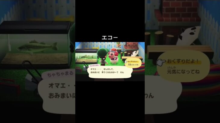 おくすりあげるよよょょ[あつ森]