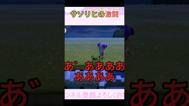 サソリとの激闘🦂　#あつ森 #あつまれどうぶつの森 #ゲーム実況 #ゲーム配信