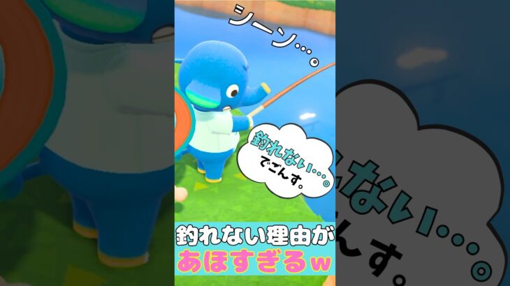あつ森 ｜ 釣れない理由があほすぎて可愛いｗ