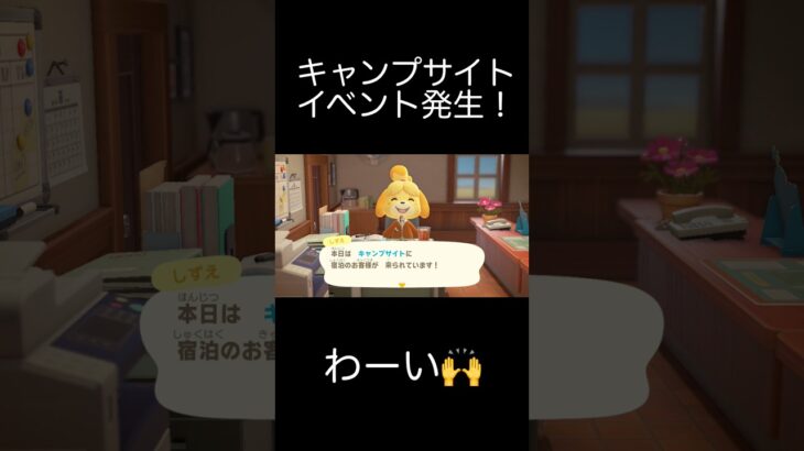【あつ森】キャンプサイトにどうぶつが来た!!