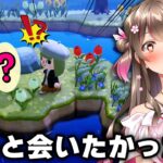 【あつ森】離島ガチャでずっと会いたかった住民に会えて大歓喜!9人目の住民が決まった日【あつまれどうぶつの森】