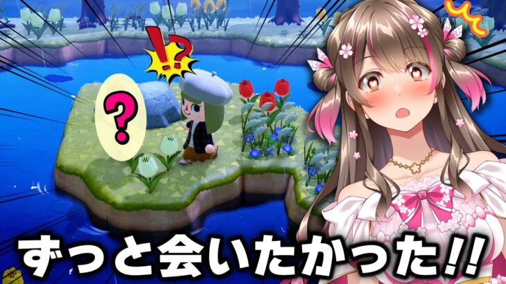 【あつ森】離島ガチャでずっと会いたかった住民に会えて大歓喜！９人目の住民が決まった日【あつまれどうぶつの森】