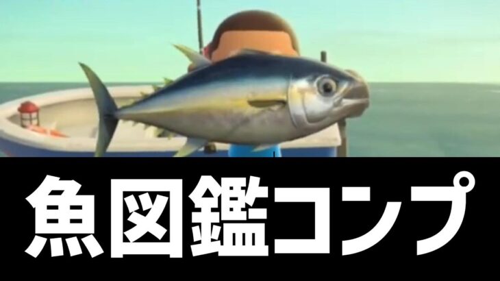 魚図鑑コンプリート【あつ森】