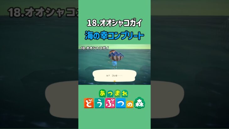 オオシャコガイ、ゲットだぜ!【あつ森】