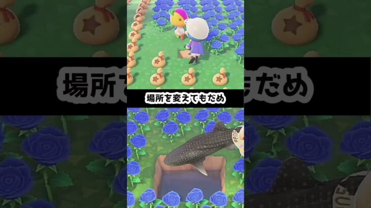 【あつ森】池を埋めたい              #あつまれどうぶつの森  #あつ森  #ゆっくり実況