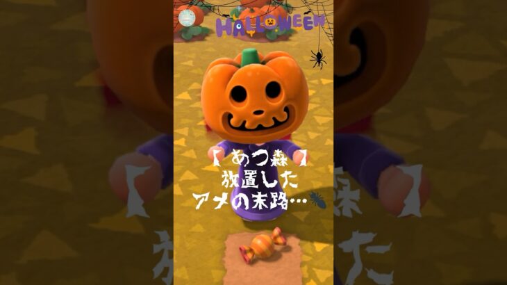 【あつ森小ネタ】アメ放置したら…まさかの大騒ぎ🐜😂