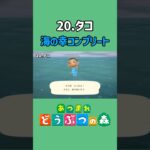 タコ、ゲットだぜ！【あつ森】