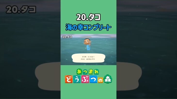 タコ、ゲットだぜ！【あつ森】