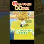 初めてのキャンプサイトにあの男が来た！！【あつ森】 #あつ森 #あつまれどうぶつの森#切り抜き