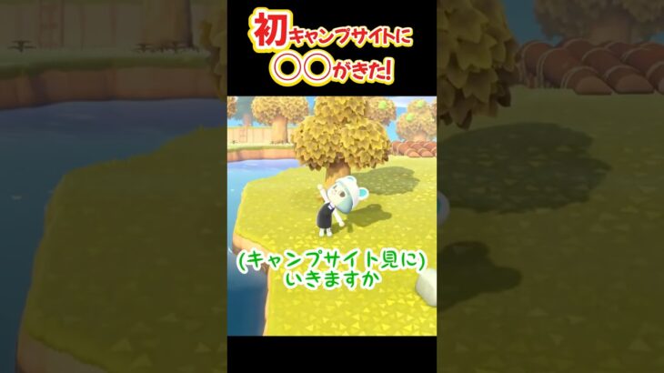 初めてのキャンプサイトにあの男が来た！！【あつ森】 #あつ森 #あつまれどうぶつの森#切り抜き