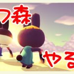 久しぶりにのんびりあつ森しますかなぁ