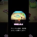 いっぱい写真を貰った日【あつ森】 #あつ森 #あつまれどうぶつの森