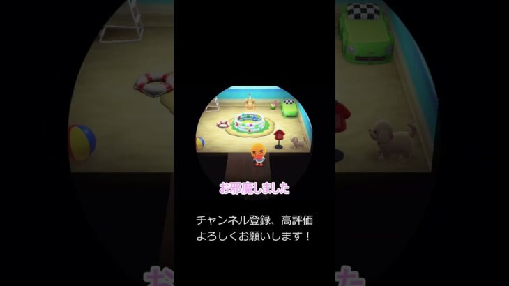 いっぱい写真を貰った日【あつ森】 #あつ森 #あつまれどうぶつの森