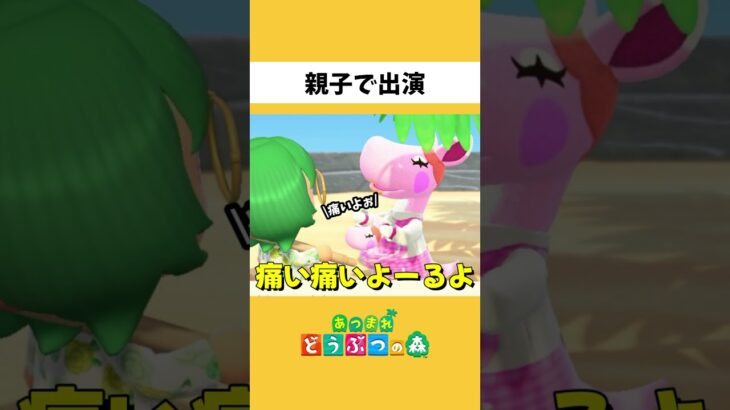 離島ガチャしてたら親子で登場【あつまれどうぶつの森】