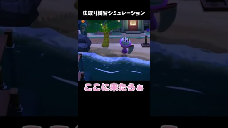 虫取り練習シミュレーションw #あつ森 #ききゆん 【嬉々桜ゆん】