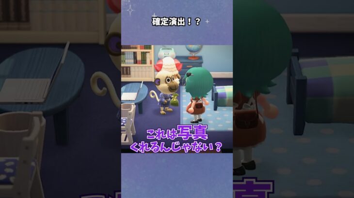 【あつ森】写真がもらえる確定演出！？ #あつ森  #あつまれどうぶつの森  #女性ゲーム実況