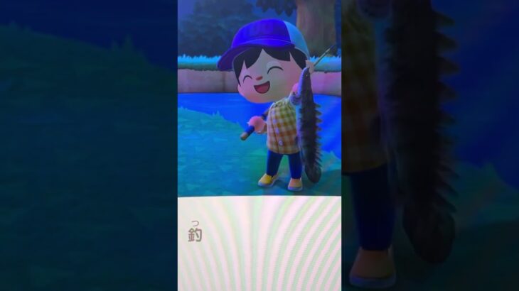 初のあつ森投稿！魚種コンプリートしました！#あつ森 #あつまれどうぶつの森