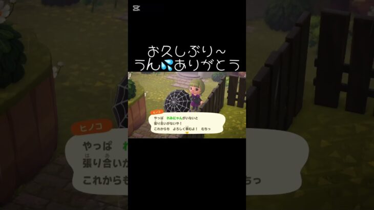 【#あつ森】やばい😅ただいま〜みんな〜💧