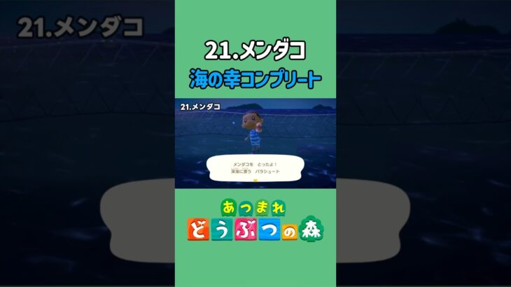 メンダコ、ゲットだぜ！【あつ森】