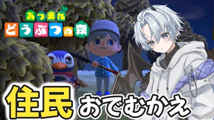 【あつ森】新規住民おでむかえ!まったりお金稼いでくぞ~