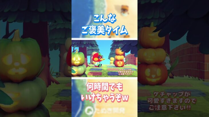 【あつ森】推しからの ご褒美タイム💕