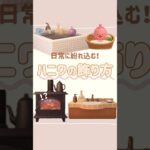 【あつ森】可愛すぎる！ハニワの飾り方💭🫧