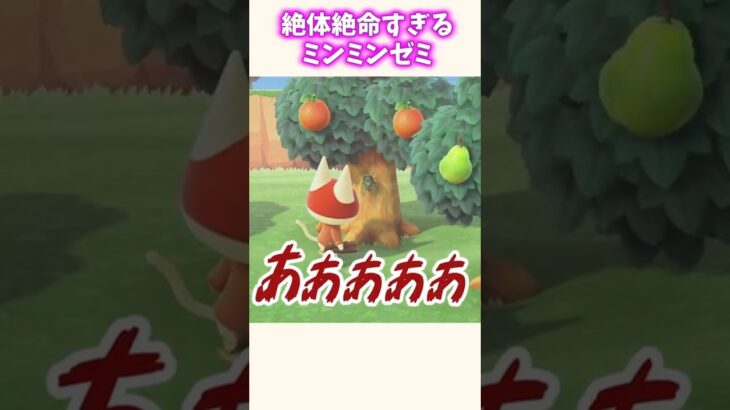 一難去ってまた一難過ぎるセミ【あつ森】