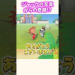 えぇ！！これは幸運すぎる！！【あつ森】