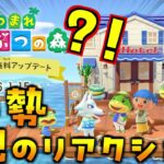 絶対に見て！あつ森大型アプデ決定！ガチ勢が完全初見で内容を確認します！(あつ森 あつまれどうぶつの森)