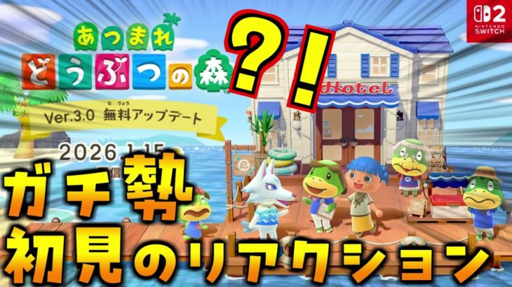 絶対に見て!あつ森大型アプデ決定!ガチ勢が完全初見で内容を確認します!(あつ森 あつまれどうぶつの森)